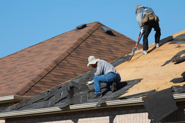 Best Roof Coating and Sealing  in Lemmon Valley, NV